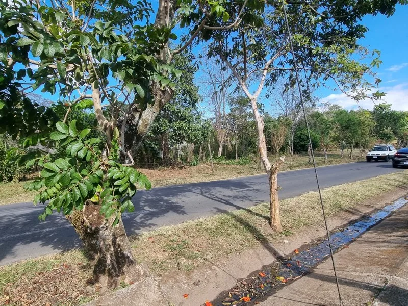 Land For Sale in Heredia