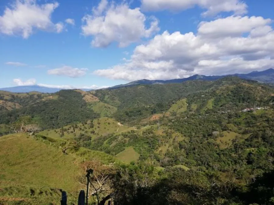 Venta de Lote en Mora, San José. - Venta en Mora