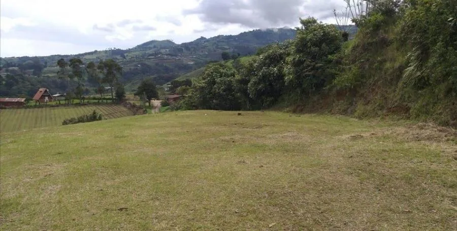 venta de terreno en cartago capellados alvarado - Venta en Alvarado