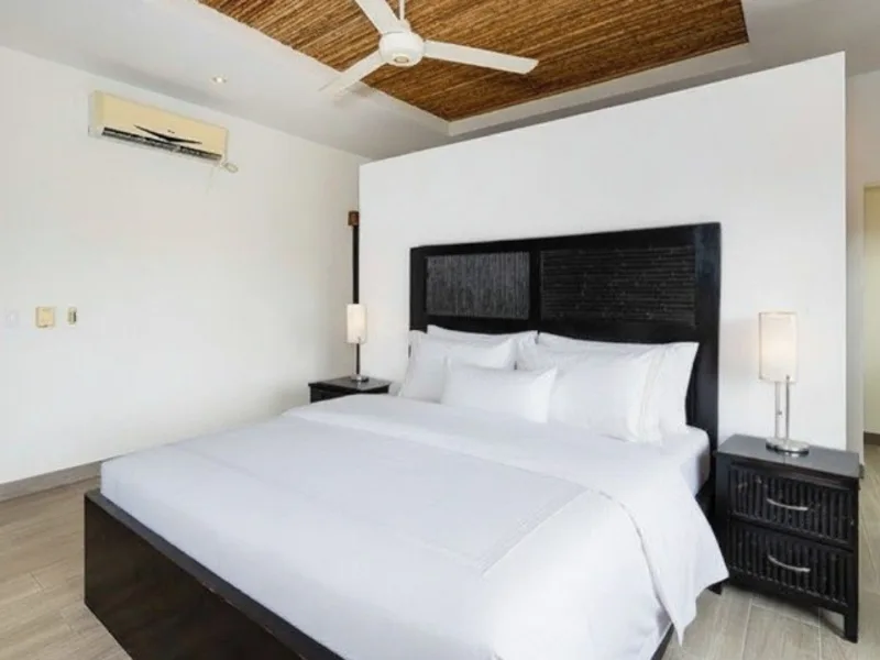 3 Bed Single Family Homes For Sale in Tamarindo, photo 12