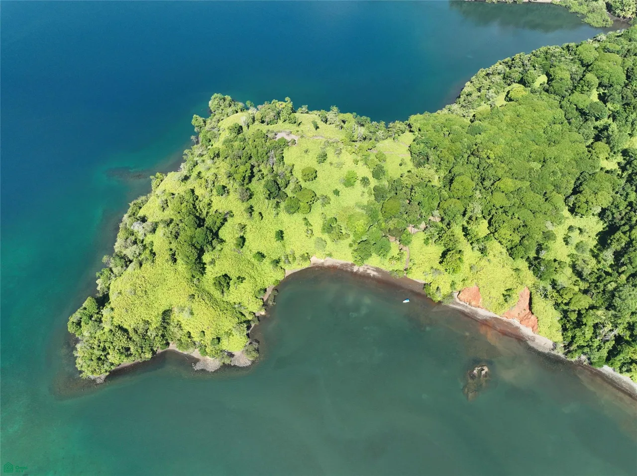 Islas de la Jungla — Los Mogos