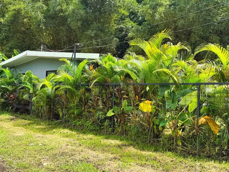 7 Bed Apartment For Sale in Puerto Viejo, photo 2