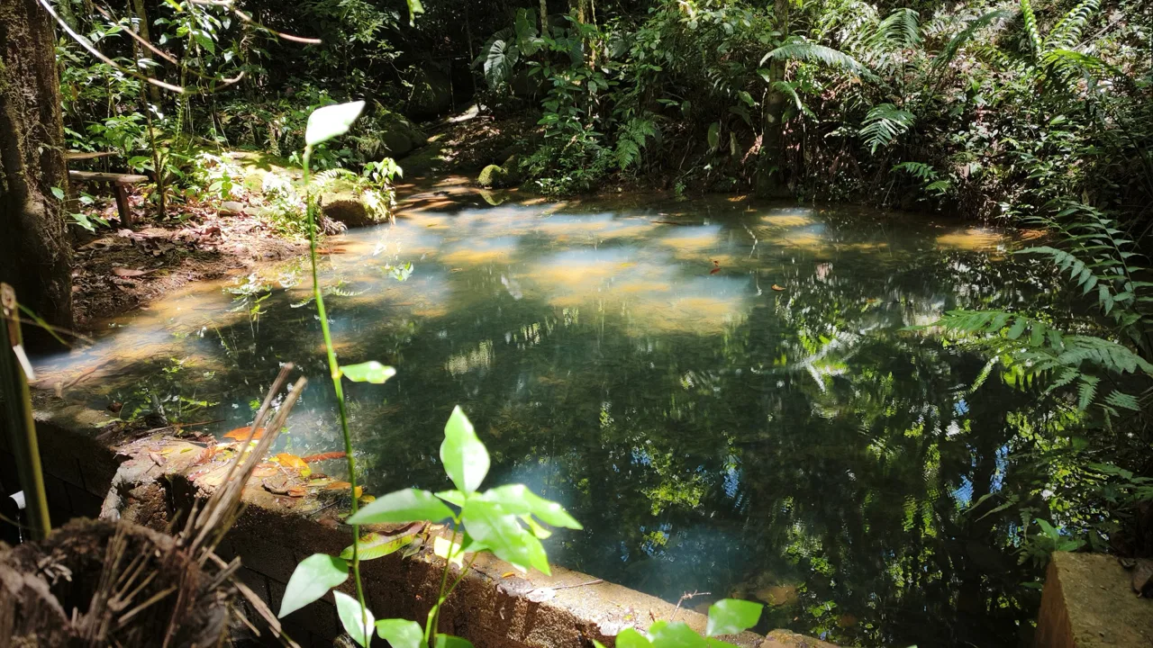Teak Luxury 5-beds Home in the Mountains of Las Tumbas – 0.45 ACRES, photo 15