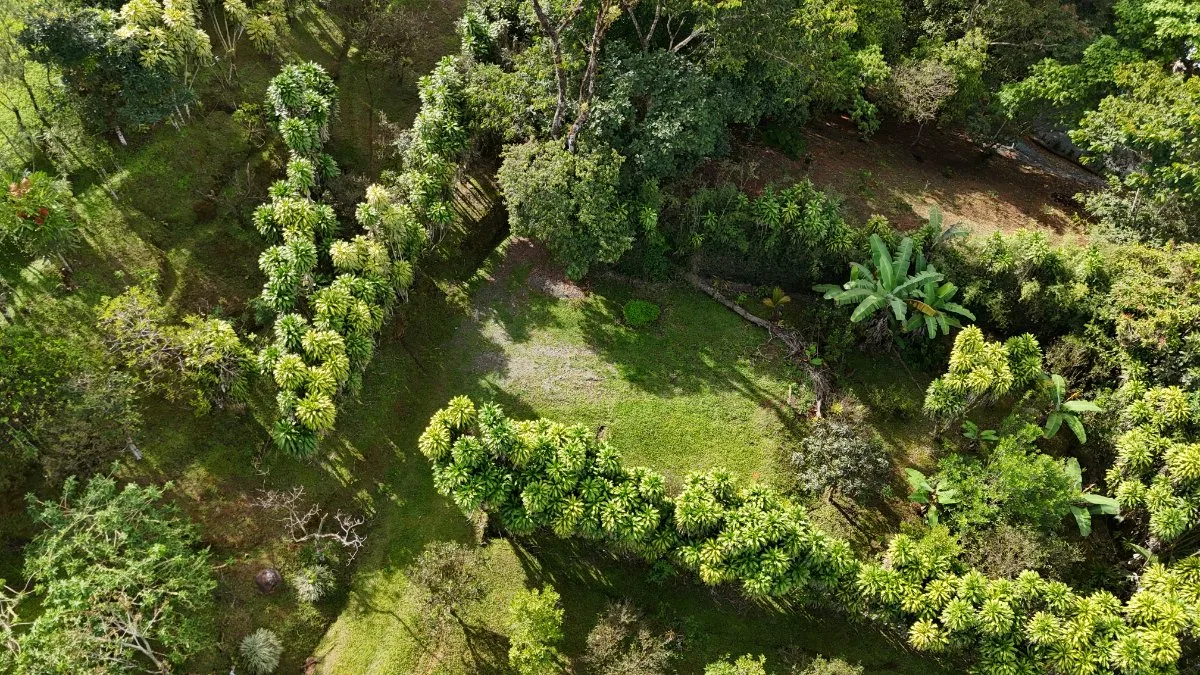 FINCA CON VISTAS 360 AL MAR Y MONTAÑA - Venta en Pérez Zeledón, photo 11
