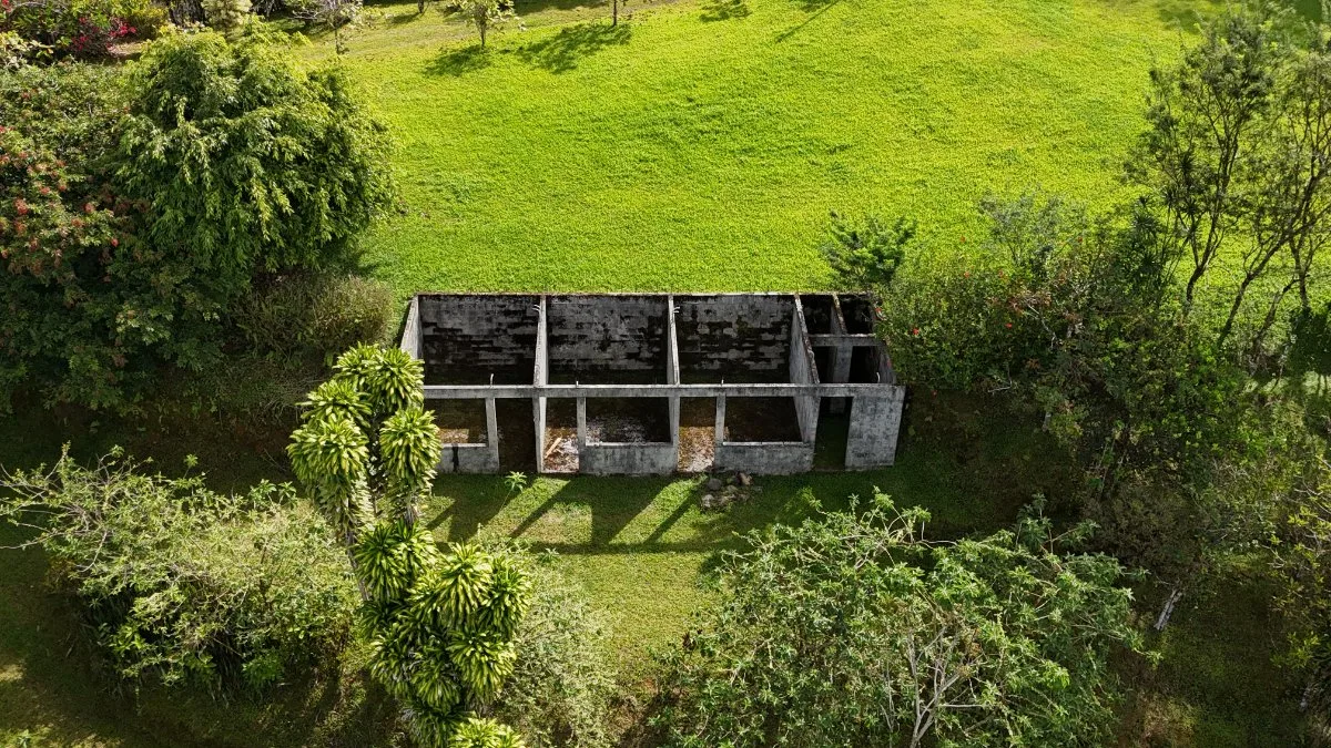 FINCA CON VISTAS 360 AL MAR Y MONTAÑA - Venta en Pérez Zeledón, photo 4