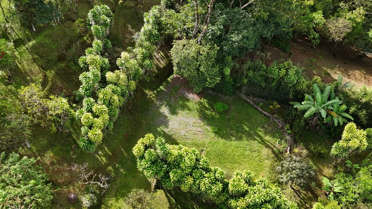 FINCA CON VISTAS 360 AL MAR Y MONTAÑA - Venta en Pérez Zeledón, photo 6