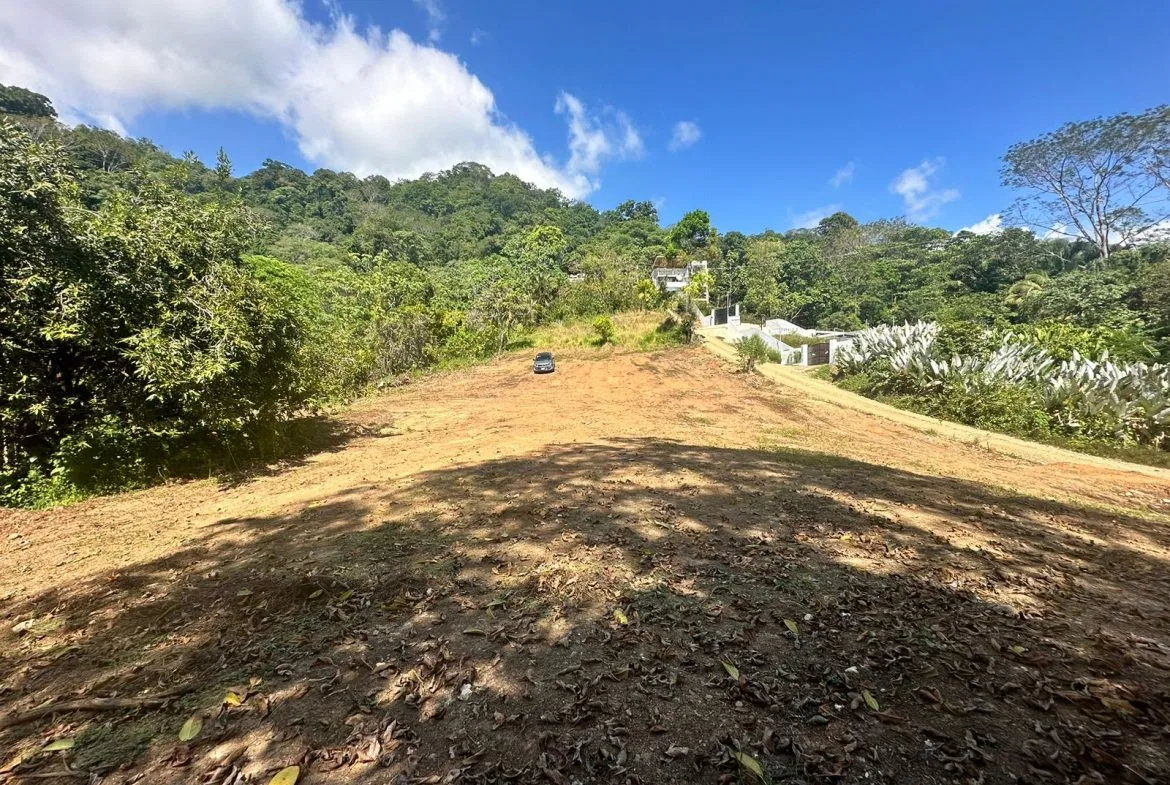 LOTS OF USABLE LAND WITH AMAZING LOCATION MINUTES TO UVITA – 2.08 ACRES, photo 22