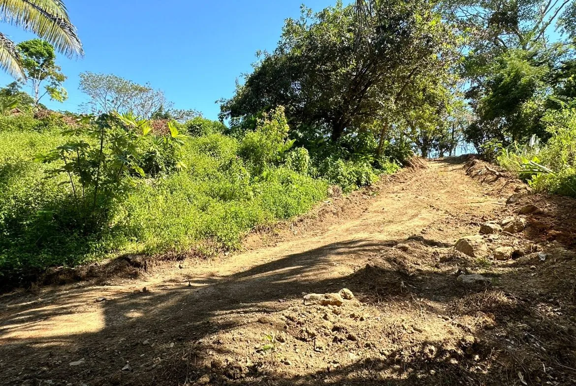 LOTS OF USABLE LAND WITH AMAZING LOCATION MINUTES TO UVITA – 2.08 ACRES, photo 24