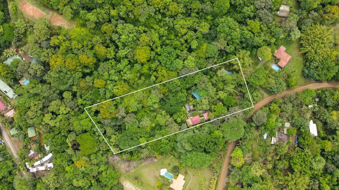 3 BEDROOM HOME AND TWO CABINAS WITH VIEWS TO THE STREAM – 1.96 ACRES, photo 3