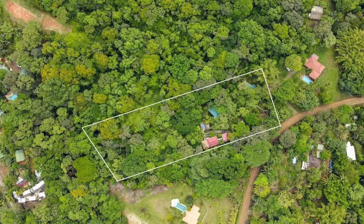 3 BEDROOM HOME AND TWO CABINAS WITH VIEWS TO THE STREAM – 1.96 ACRES, photo 4