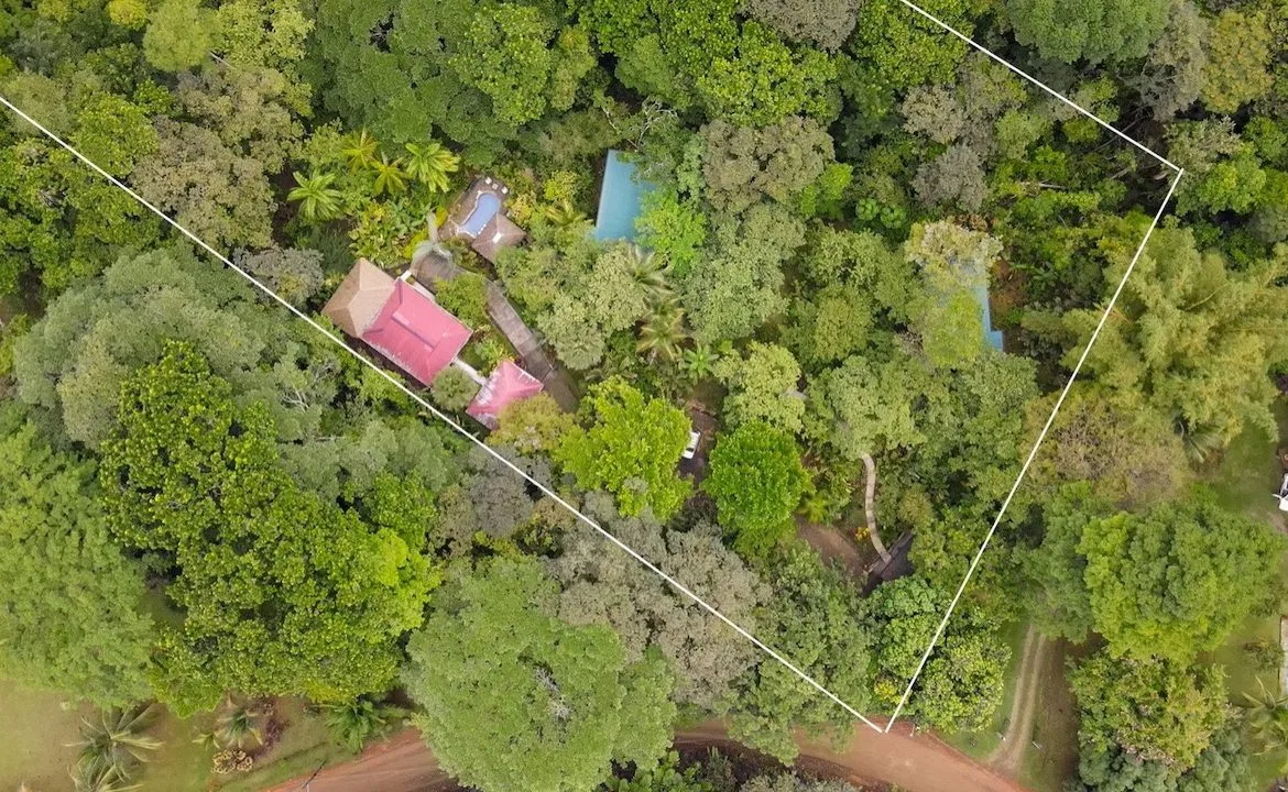3 BEDROOM HOME AND TWO CABINAS WITH VIEWS TO THE STREAM – 1.96 ACRES, photo 6