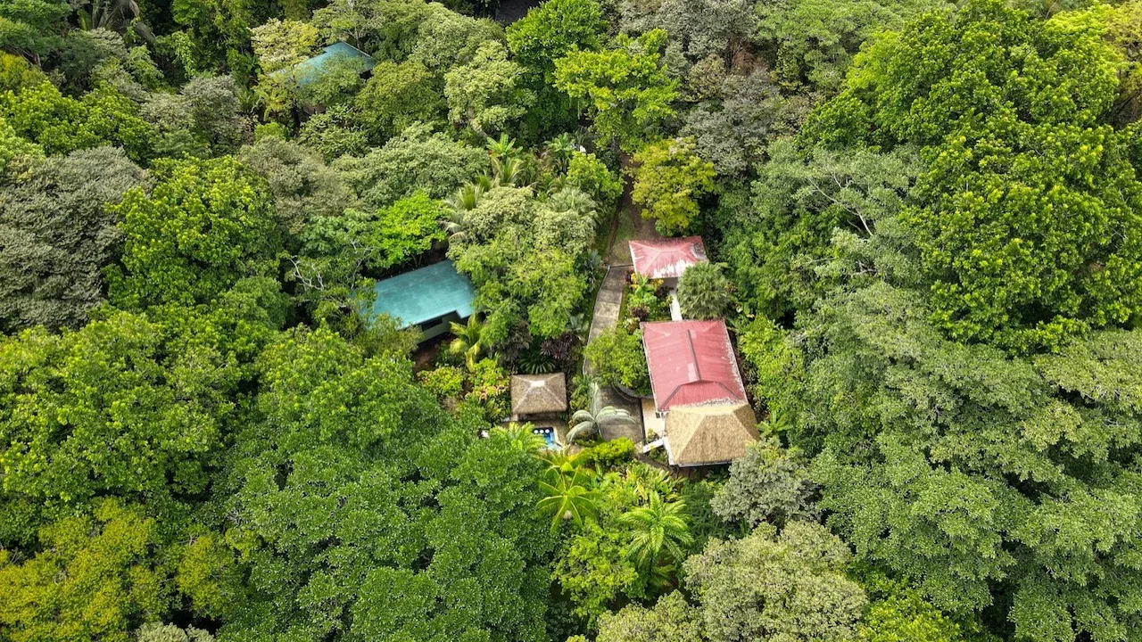 3 BEDROOM HOME AND TWO CABINAS WITH VIEWS TO THE STREAM – 1.96 ACRES, photo 7