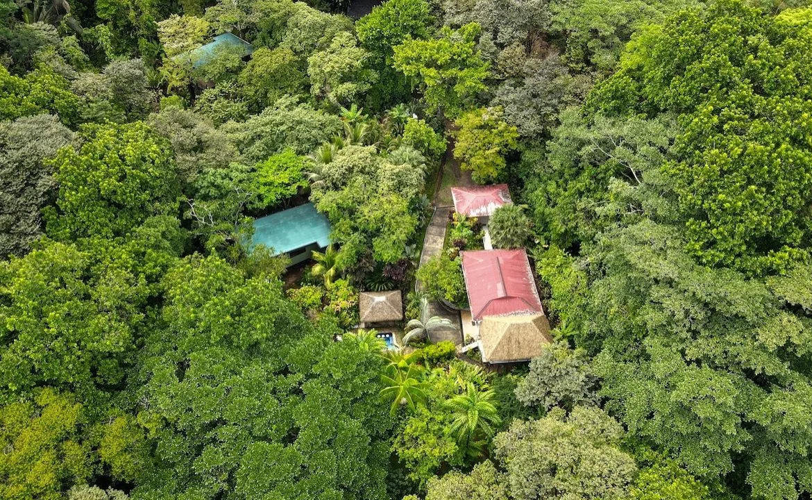 3 BEDROOM HOME AND TWO CABINAS WITH VIEWS TO THE STREAM – 1.96 ACRES, photo 8