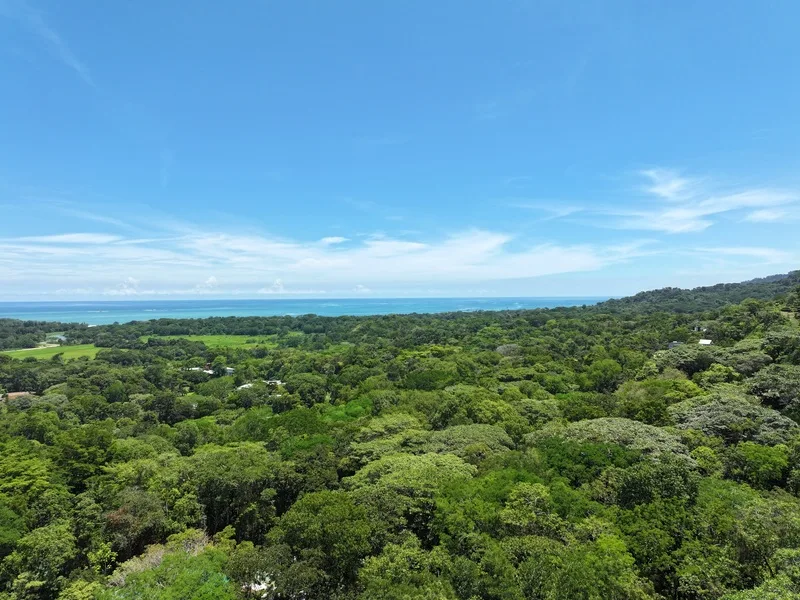 Land For Sale in Uvita, photo 13