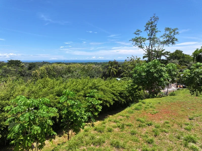 Land For Sale in Uvita, photo 10