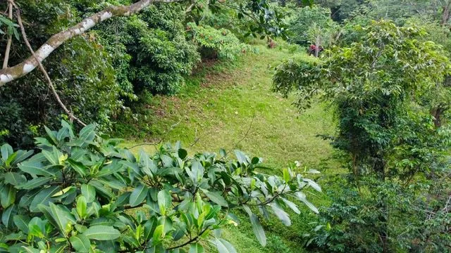 Prime 1,686 m² Lot in the Exclusive Pura Vida Community – Manuel Antonio