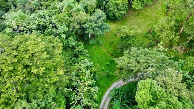 Prime 1,686 m² Lot in the Exclusive Pura Vida Community – Manuel Antonio