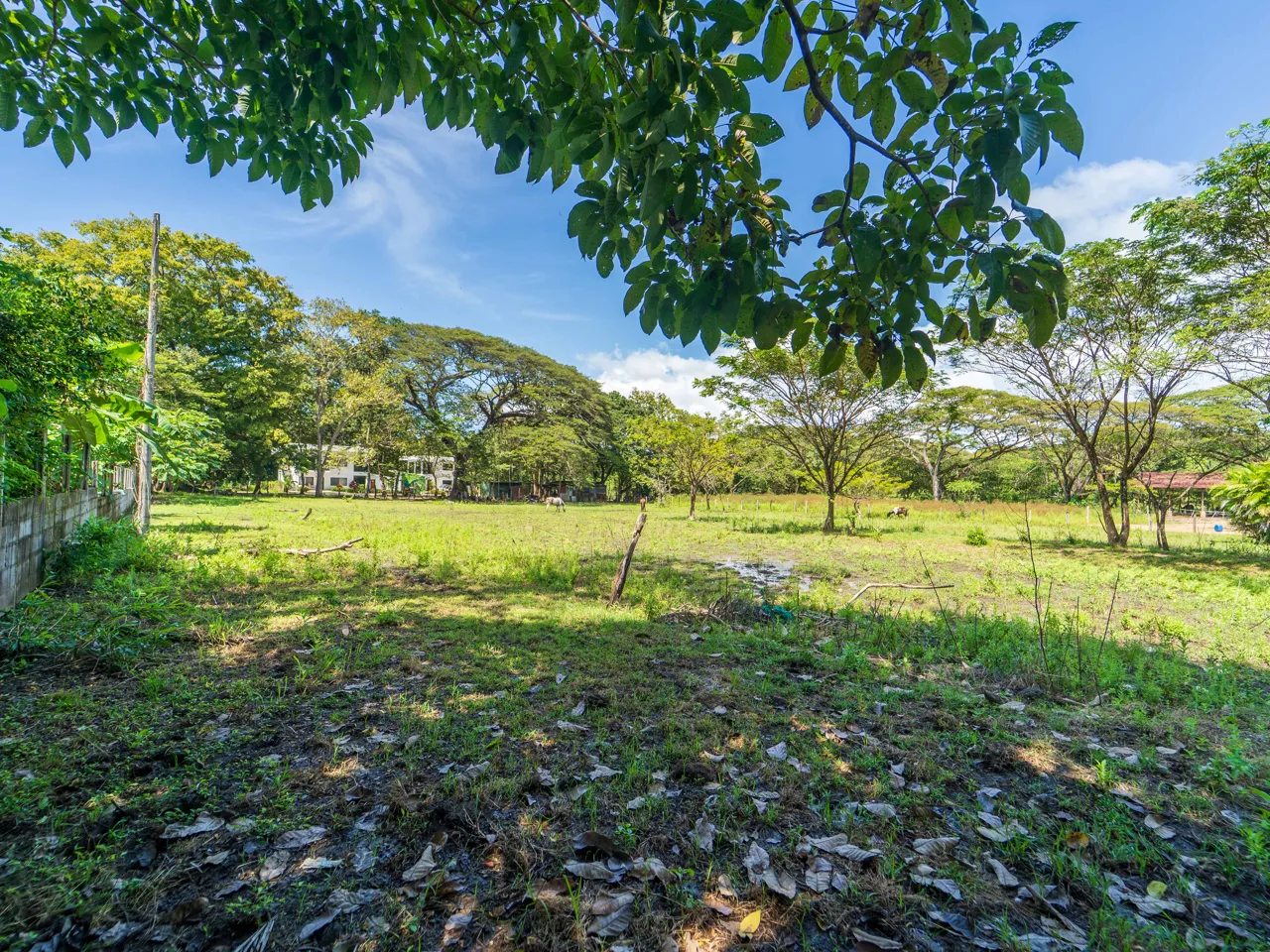 Lote Campo del Sol - 0.58 Acre Lot In Between 2 Beaches, photo 2