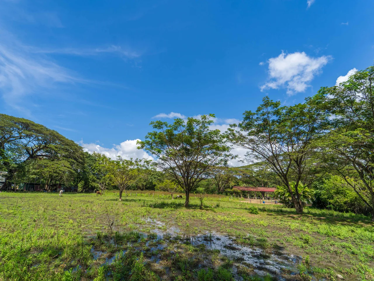 Lote Campo del Sol - 0.58 Acre Lot In Between 2 Beaches, photo 4