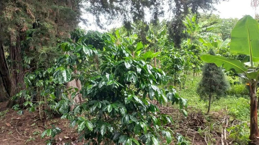 Venta de Lote en Goicoechea, San José. RAH 24-71 - Venta en Goicoechea, photo 11