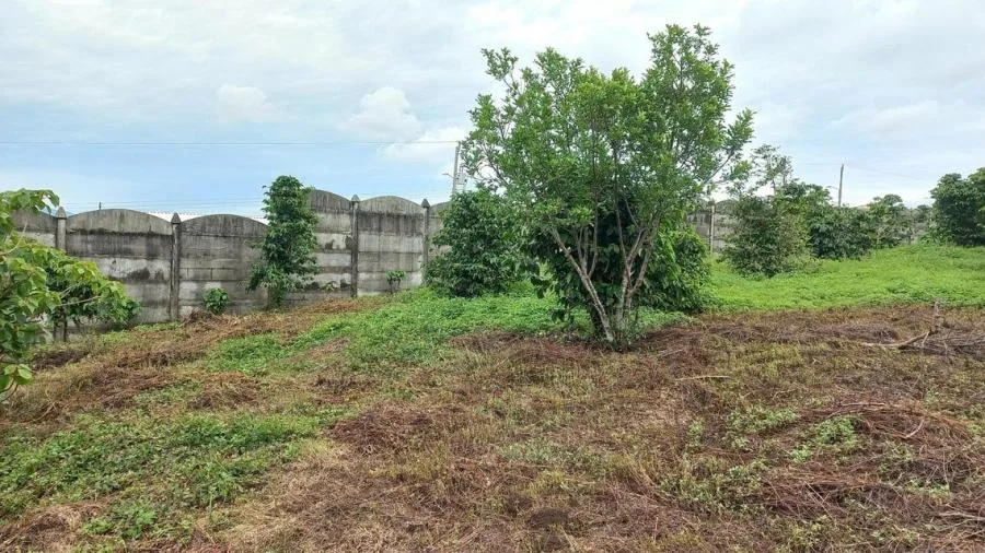 Venta de Lote en Goicoechea, San José. RAH 24-71 - Venta en Goicoechea, photo 13