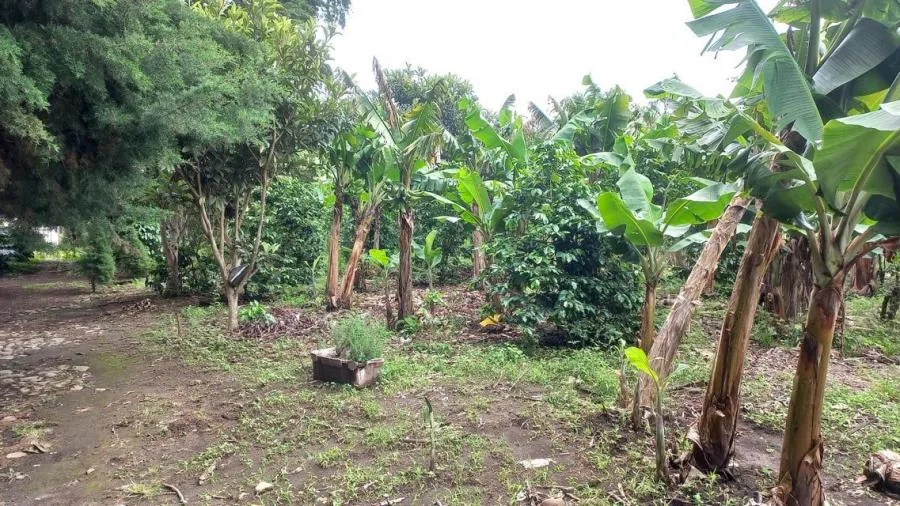 Venta de Lote en Goicoechea, San José. RAH 24-71 - Venta en Goicoechea, photo 10