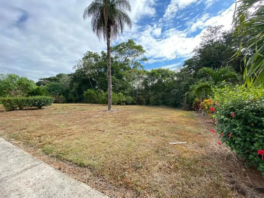 Lote en Venta en Turrûbares, San José. RAH 25-1783 - Venta en Turrubares, photo 4
