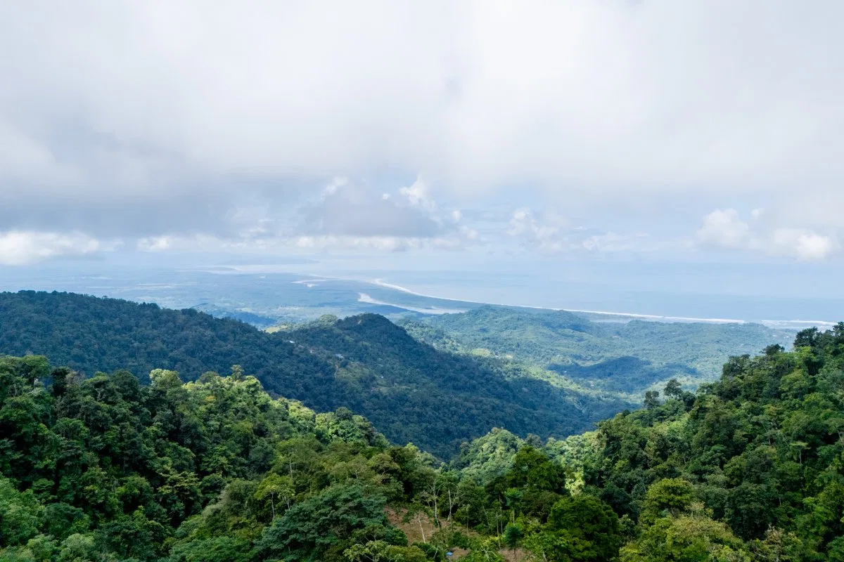 SE VENDE OPORTUNIDAD DE DESARROLLO CON VISTAS PANORAMICAS AL MAR EN OSA - Venta en Osa