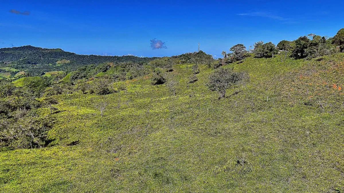 SE VENDE FINCA PARA DESARROLLO CON DOBLE FRENTE DE CALLE Y NACIENTE EN ALTO SAN JUAN - Venta en Pérez Zeledón, photo 4