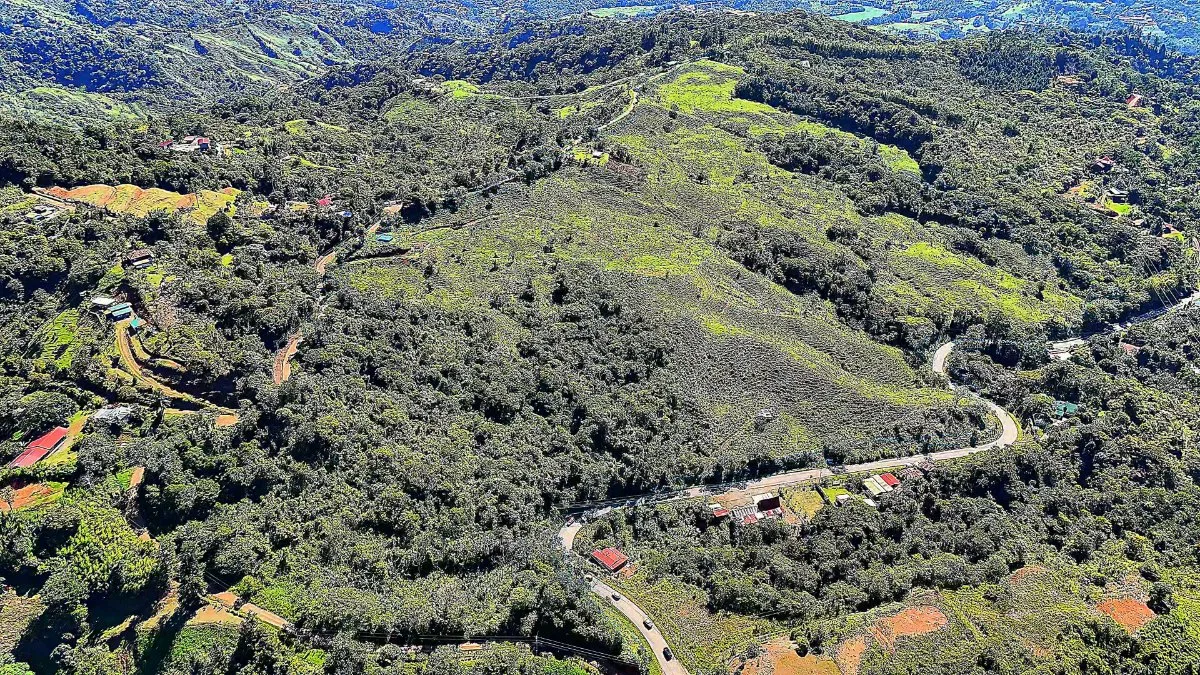 SE VENDE FINCA PARA DESARROLLO CON DOBLE FRENTE DE CALLE Y NACIENTE EN ALTO SAN JUAN - Venta en Pérez Zeledón, photo 6