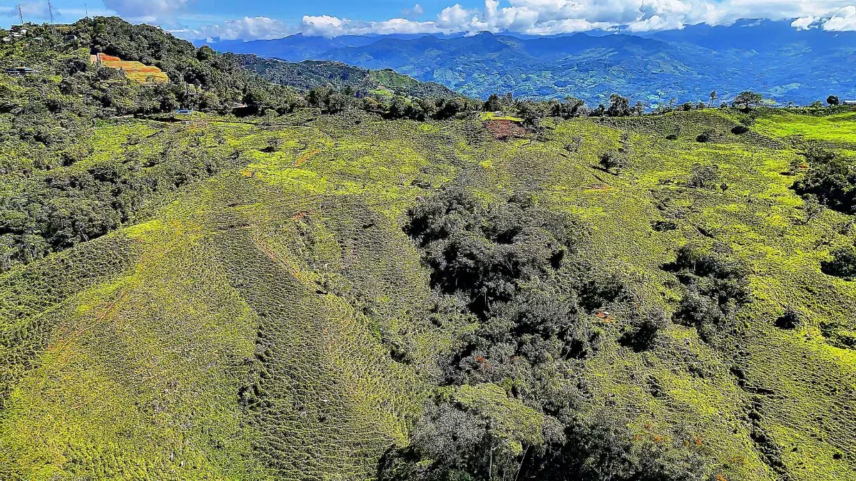 SE VENDE FINCA PARA DESARROLLO CON DOBLE FRENTE DE CALLE Y NACIENTE EN ALTO SAN JUAN - Venta en Pérez Zeledón, photo 9