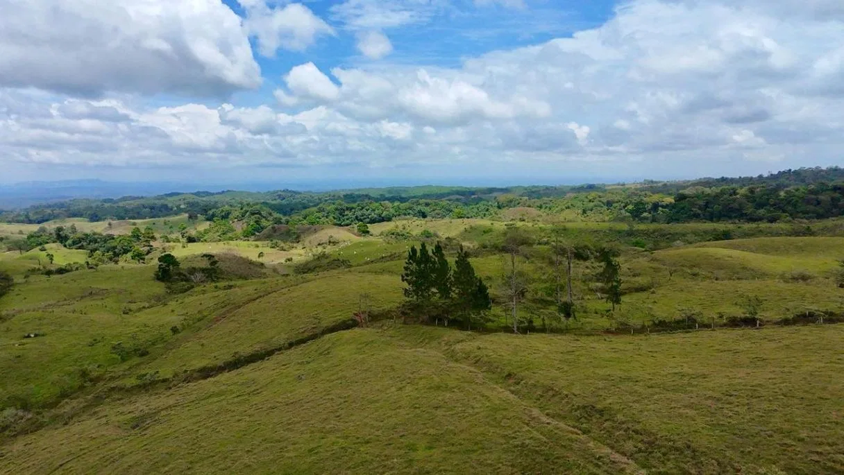 629-Hectare Cattle Ranch in Sarapiquí