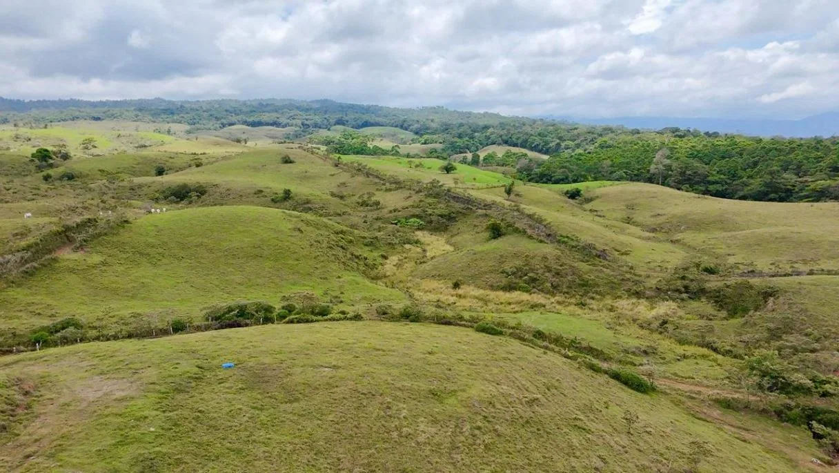 629-Hectare Cattle Ranch in Sarapiquí, photo 2