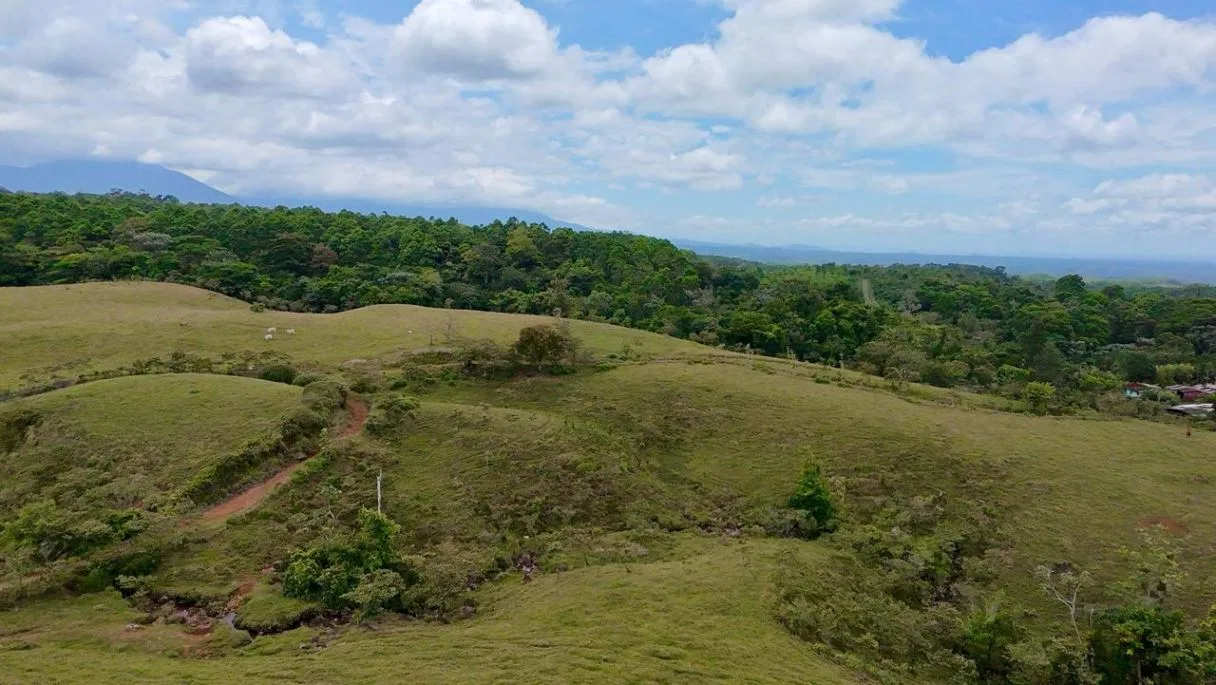 629-Hectare Cattle Ranch in Sarapiquí, photo 3