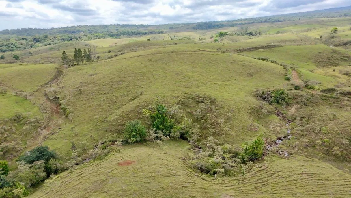 629-Hectare Cattle Ranch in Sarapiquí, photo 4