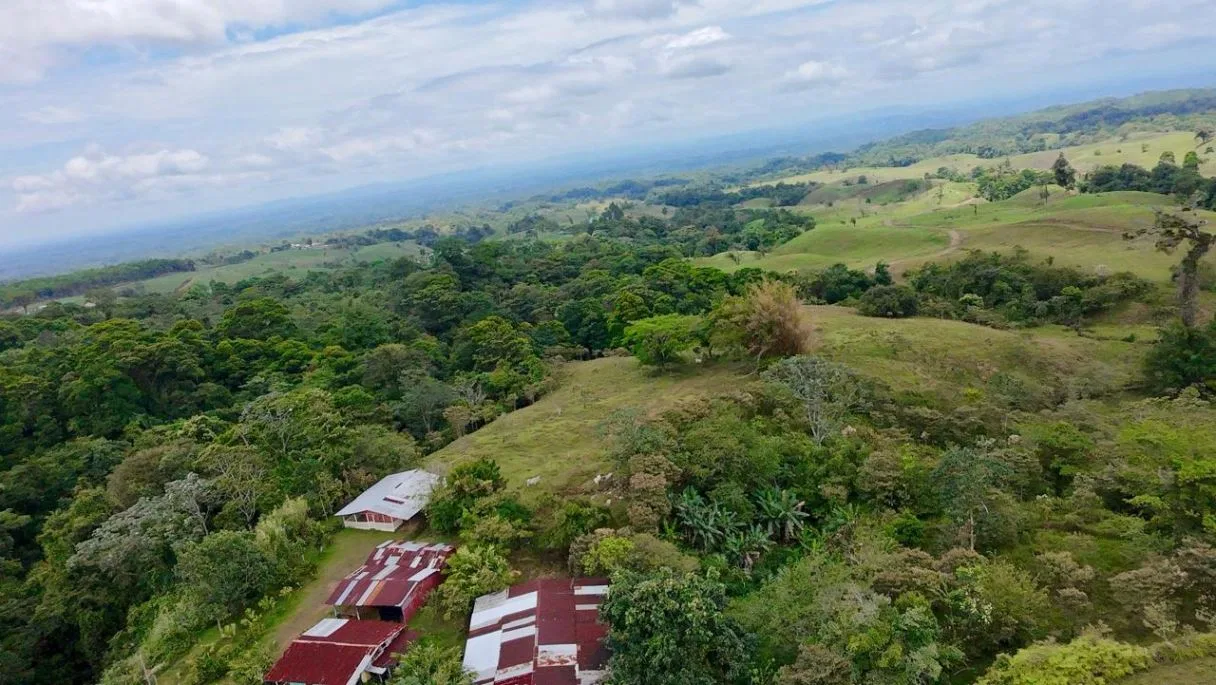 629-Hectare Cattle Ranch in Sarapiquí, photo 5