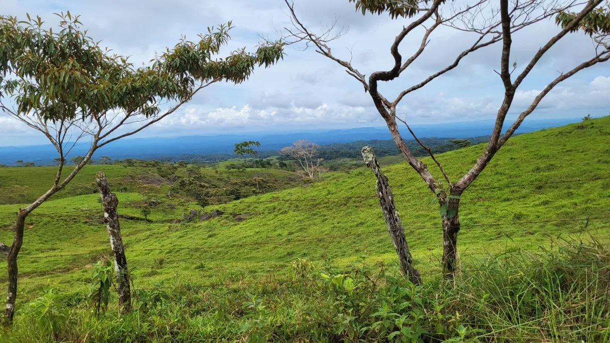 629-Hectare Cattle Ranch in Sarapiquí, photo 6