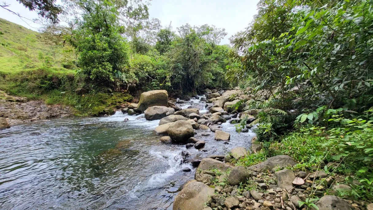 629-Hectare Cattle Ranch in Sarapiquí, photo 7