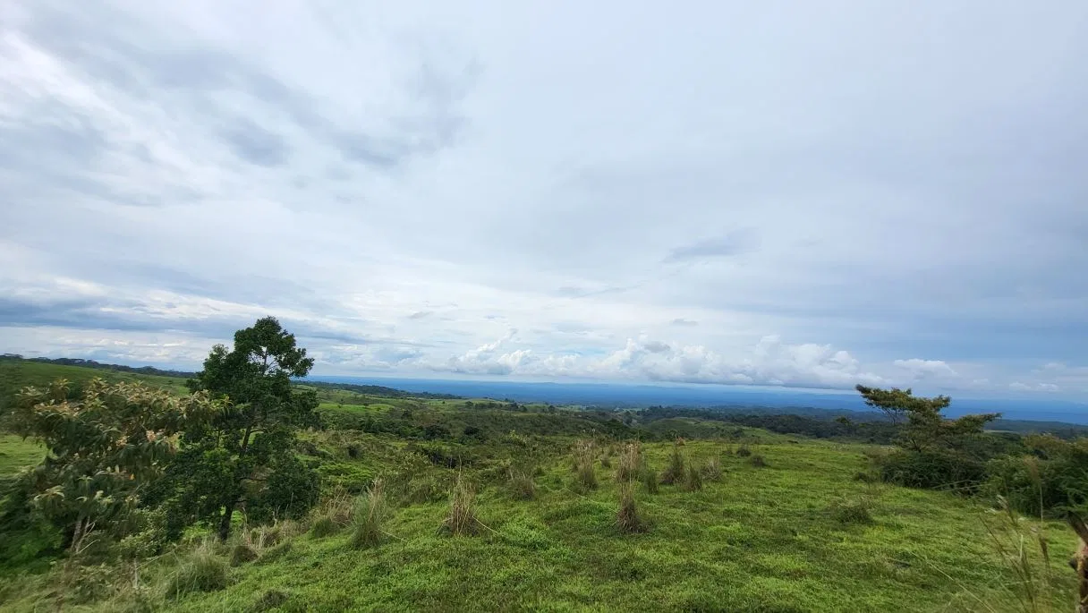 629-Hectare Cattle Ranch in Sarapiquí, photo 8