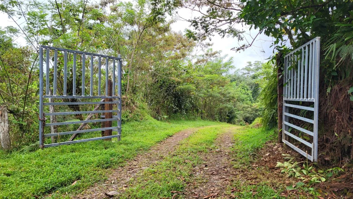 629-Hectare Cattle Ranch in Sarapiquí, photo 9