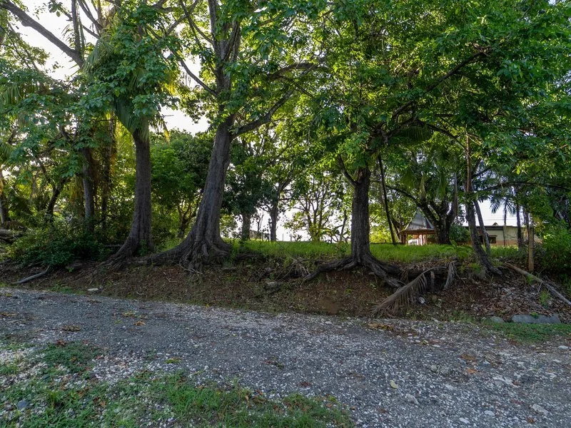 Land For Sale in Playa Carrillo, photo 3