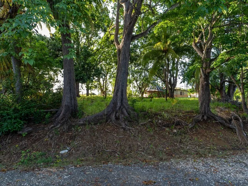 Land For Sale in Playa Carrillo, photo 4