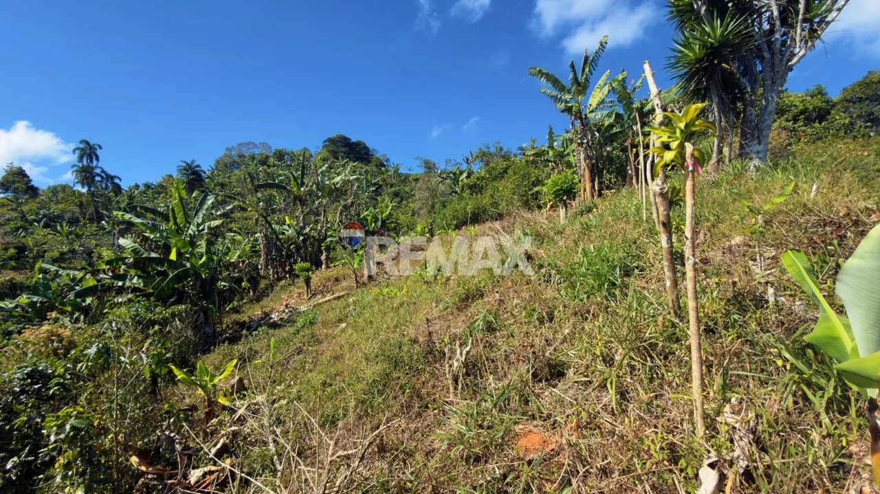 Lot for Sale Views to Talamanca, photo 12