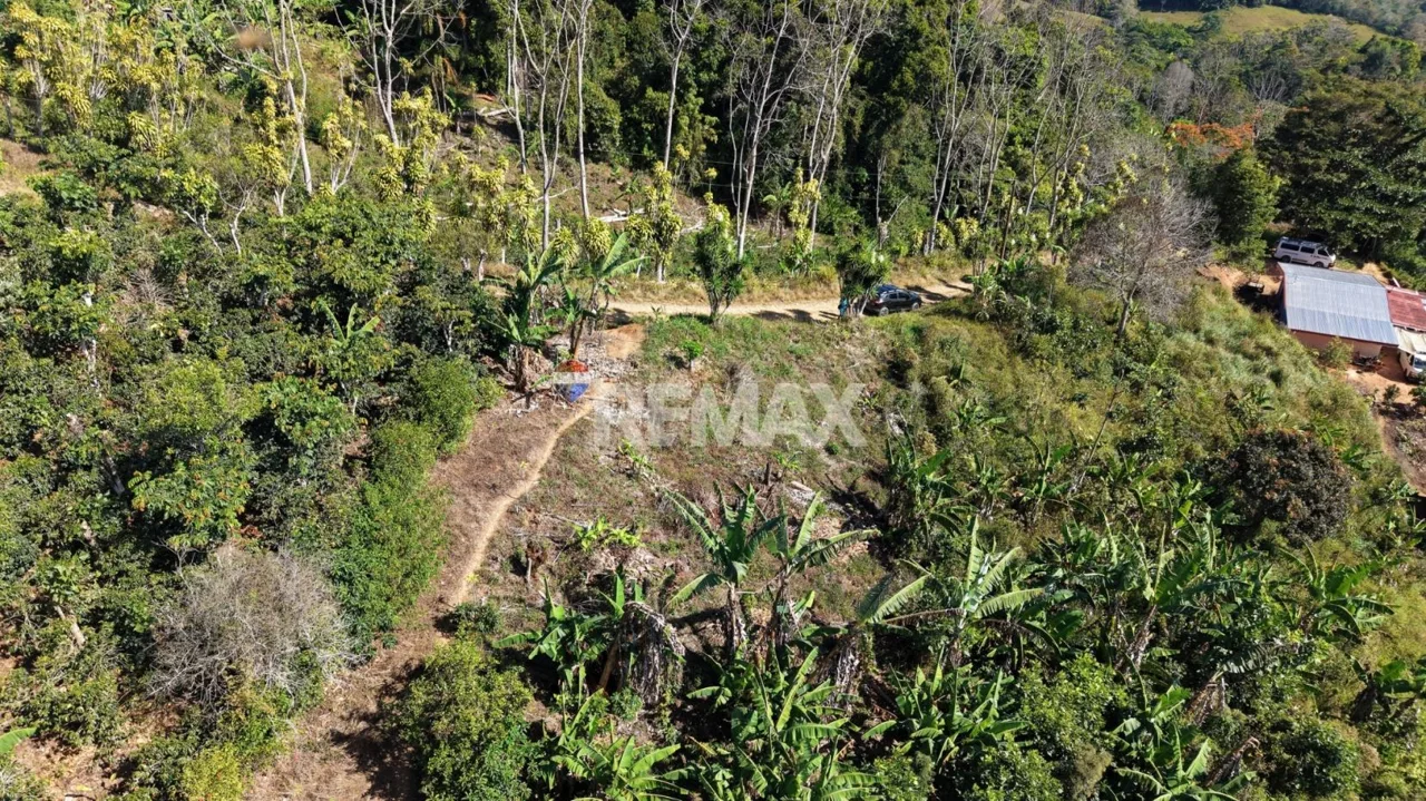 Lot for Sale Views to Talamanca, photo 6