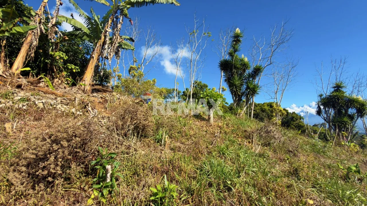 Lot for Sale Views to Talamanca, photo 7