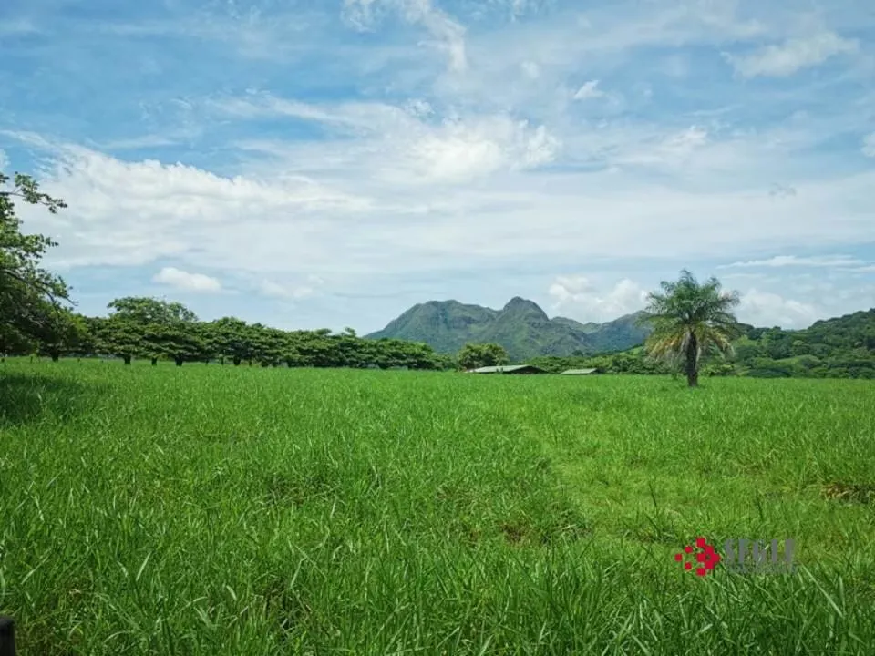 Finca for sale in Higuerón de Cañas, Guanacaste
