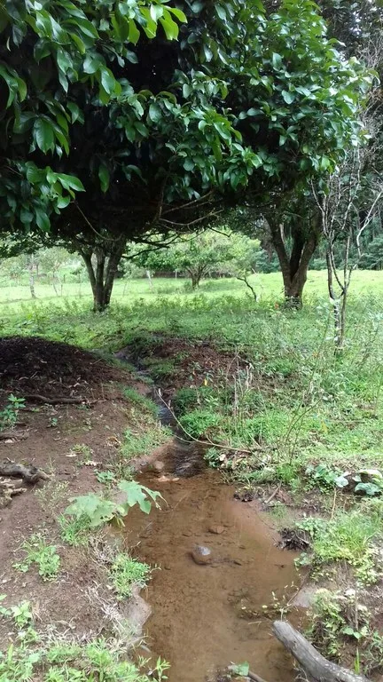 Other in Río Naranjo