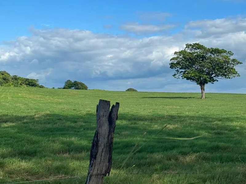 9 Bed Land For Sale in Bagaces