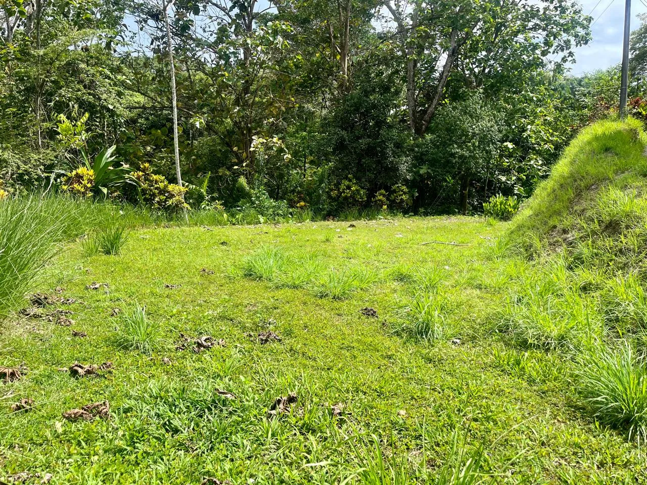 Terraced Lot in La Hierba – 300 Meters from the Beach with Stunning Mountain Views - REMAX Jungle Properties | Pavones Golfito Real Estate