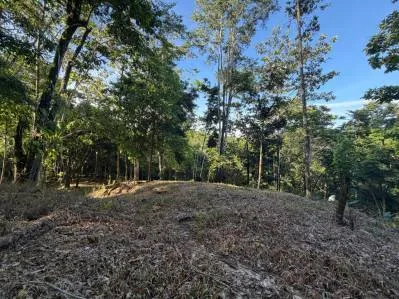 Tres Lotes con Título de Propiedad en las Montañas de Punta Uva